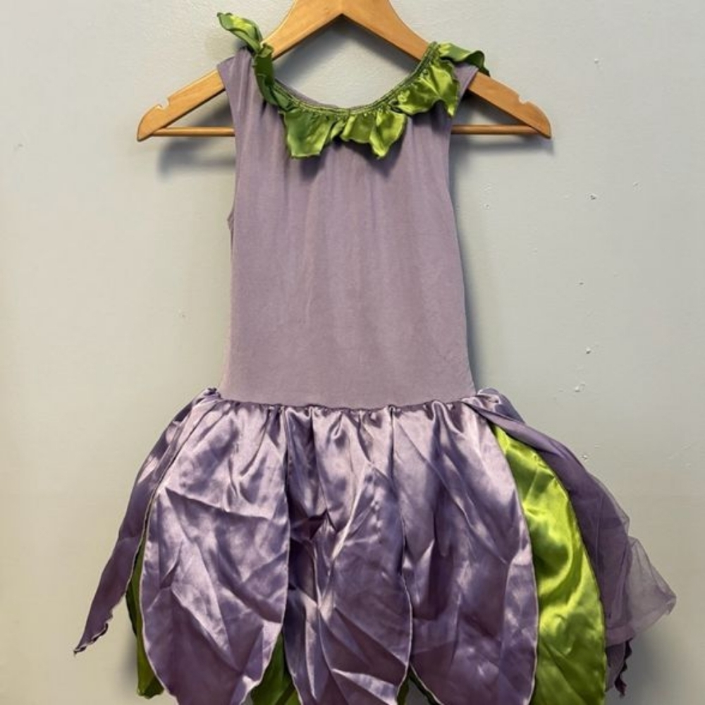 Fairy Costume